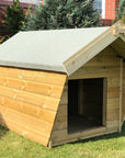 Apex or Pent Dog Kennel