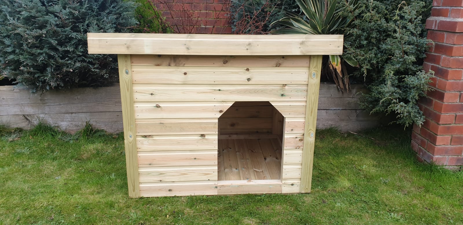 Apex or Pent Dog Kennel